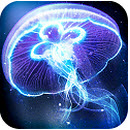 ������Ϸ���� 1.2 ��׿��