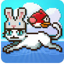 ���ŵ�è 1.0.30 ��׿��